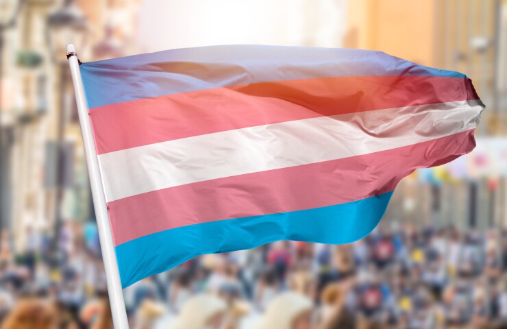 Transgender flag blowing in the wind